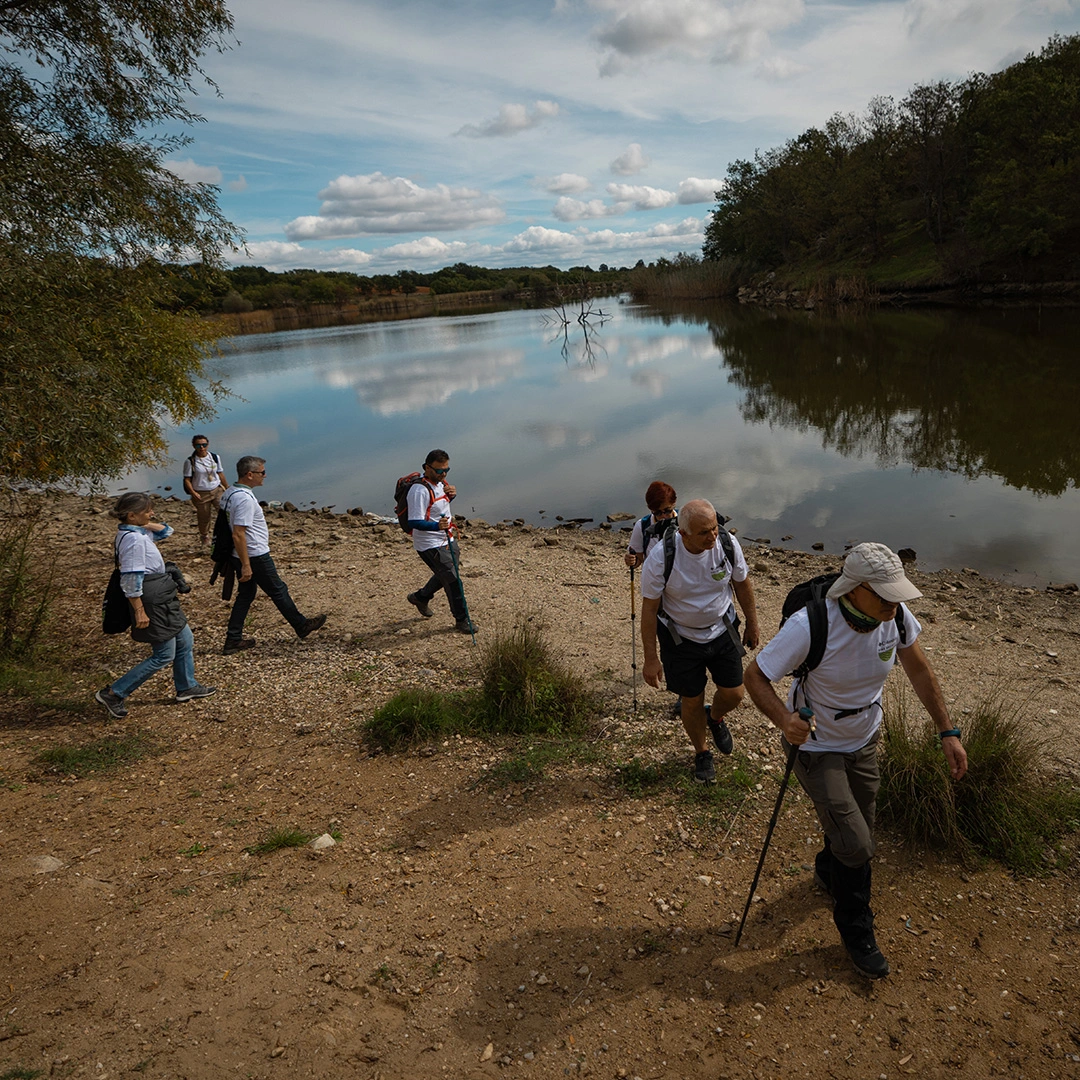 Test - Baltık Yürüyüşü