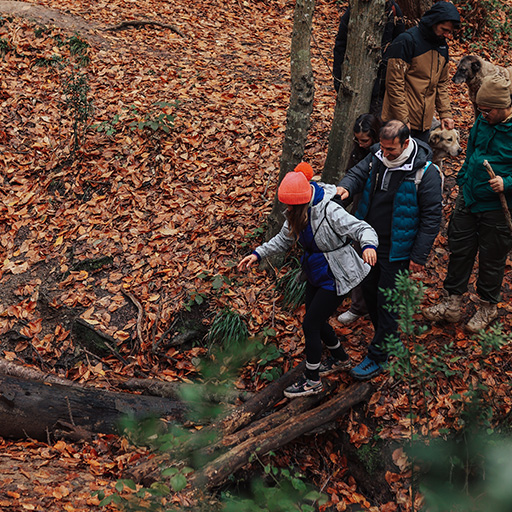 Doğa Yürüyüşü ve Fotoğraf Çekimi